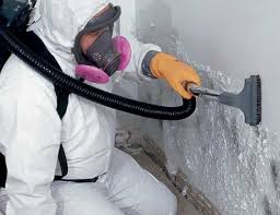 Asbestos and Lead Testing During Mold Inspection in Claypool, AZ